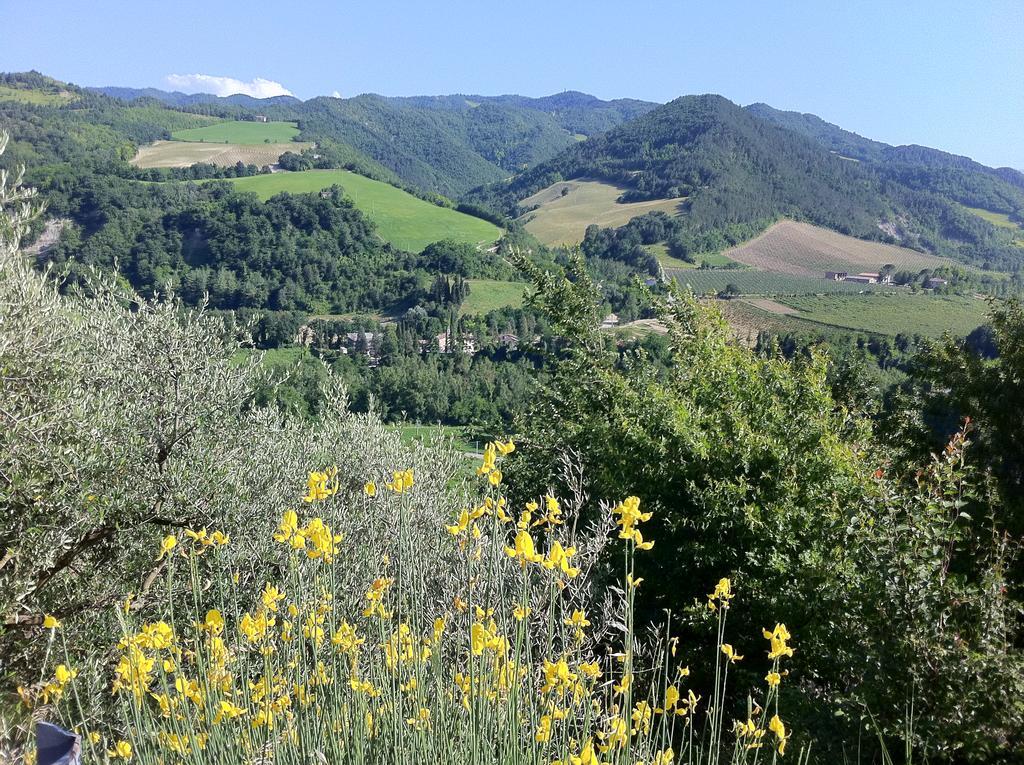 Corte San Ruffillo Country Resort Dovadola Екстериор снимка